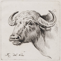 KG 01529
<br/>
Kop van een koe
<br/>
<em>Klein, Johann Adam (1792-1875)</em>